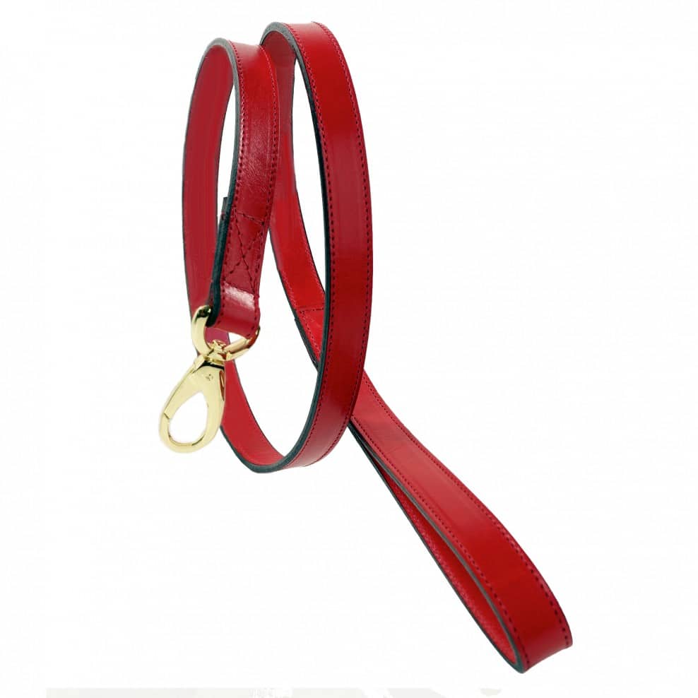 Belmont/Central Park Leash in Ferrari Red image 0