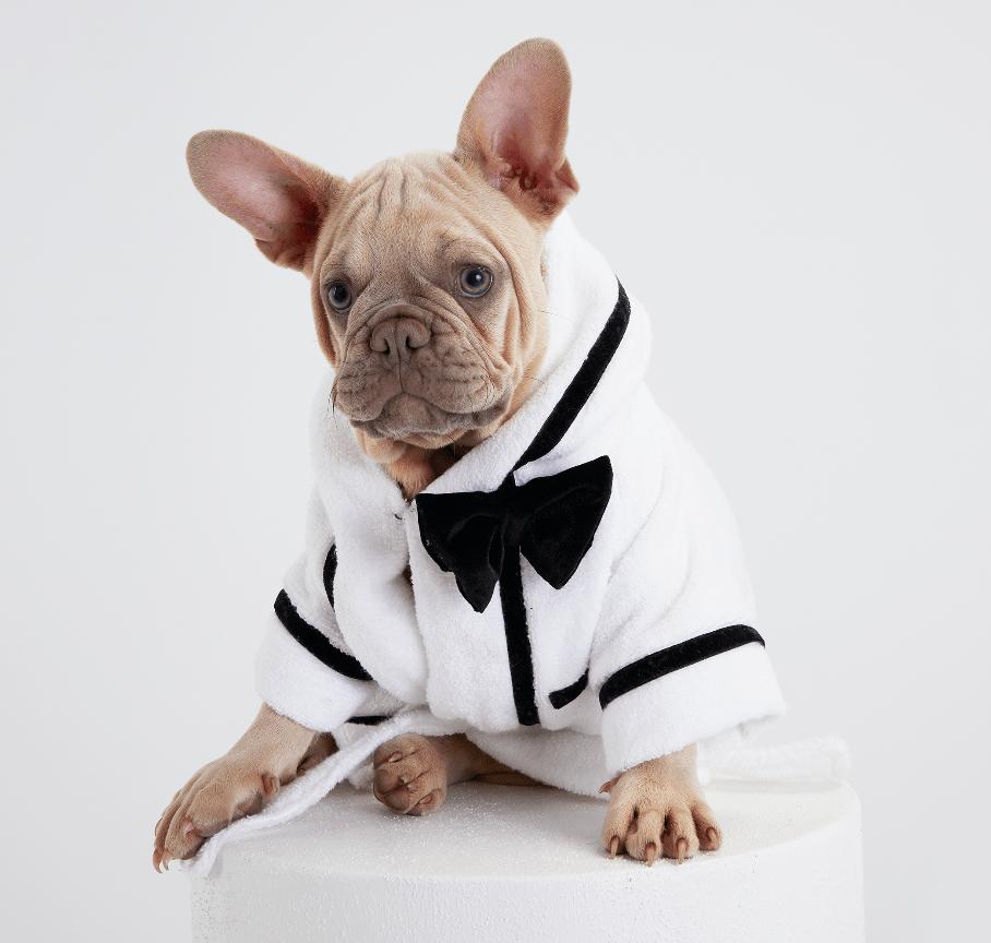 Best Man Dog Bathrobe image 0