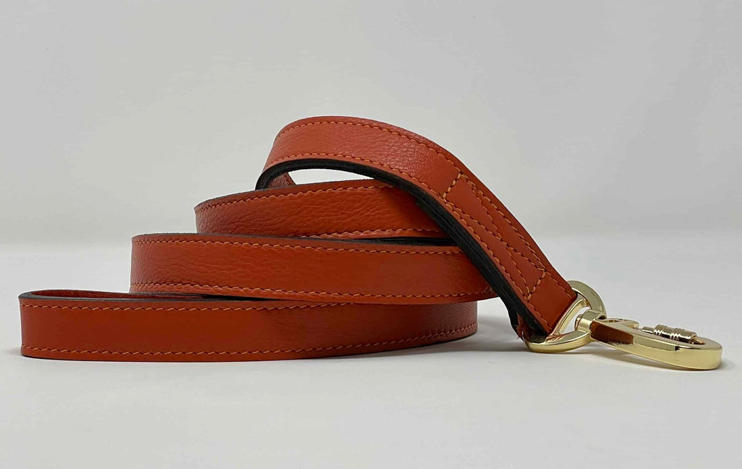 Hamilton Dog Leash in 'Arancione' and Gold image 0