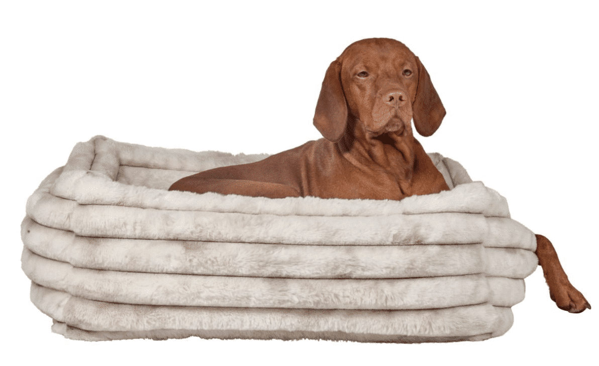 The Franklin Himalayan Dog Bed image 0