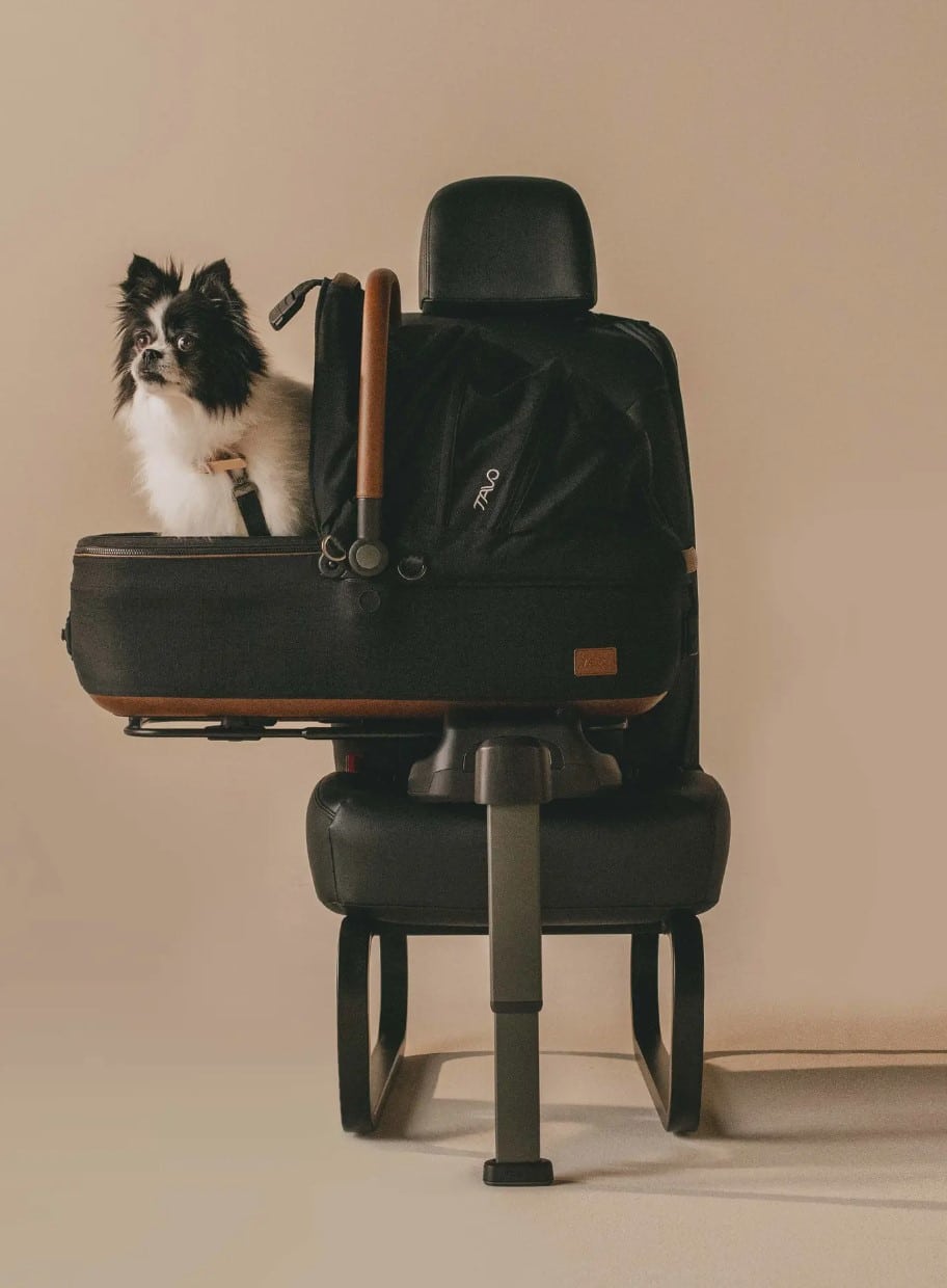 Tavo Pets Maeve Car Seat, Medium (Rigid Handle) Pet Carrier image 4