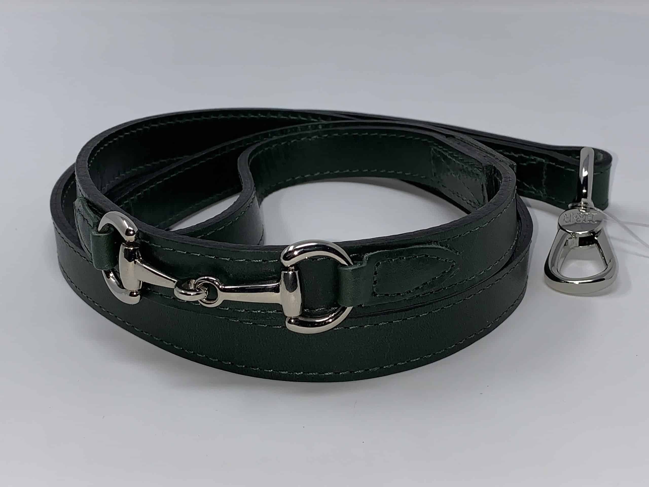 Belmont with Icon Dog Leash in Ivy Green & Nickel image 0