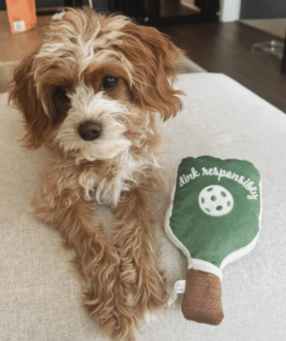 Green Stripe Pickleball Paddle Dog Toy image 0
