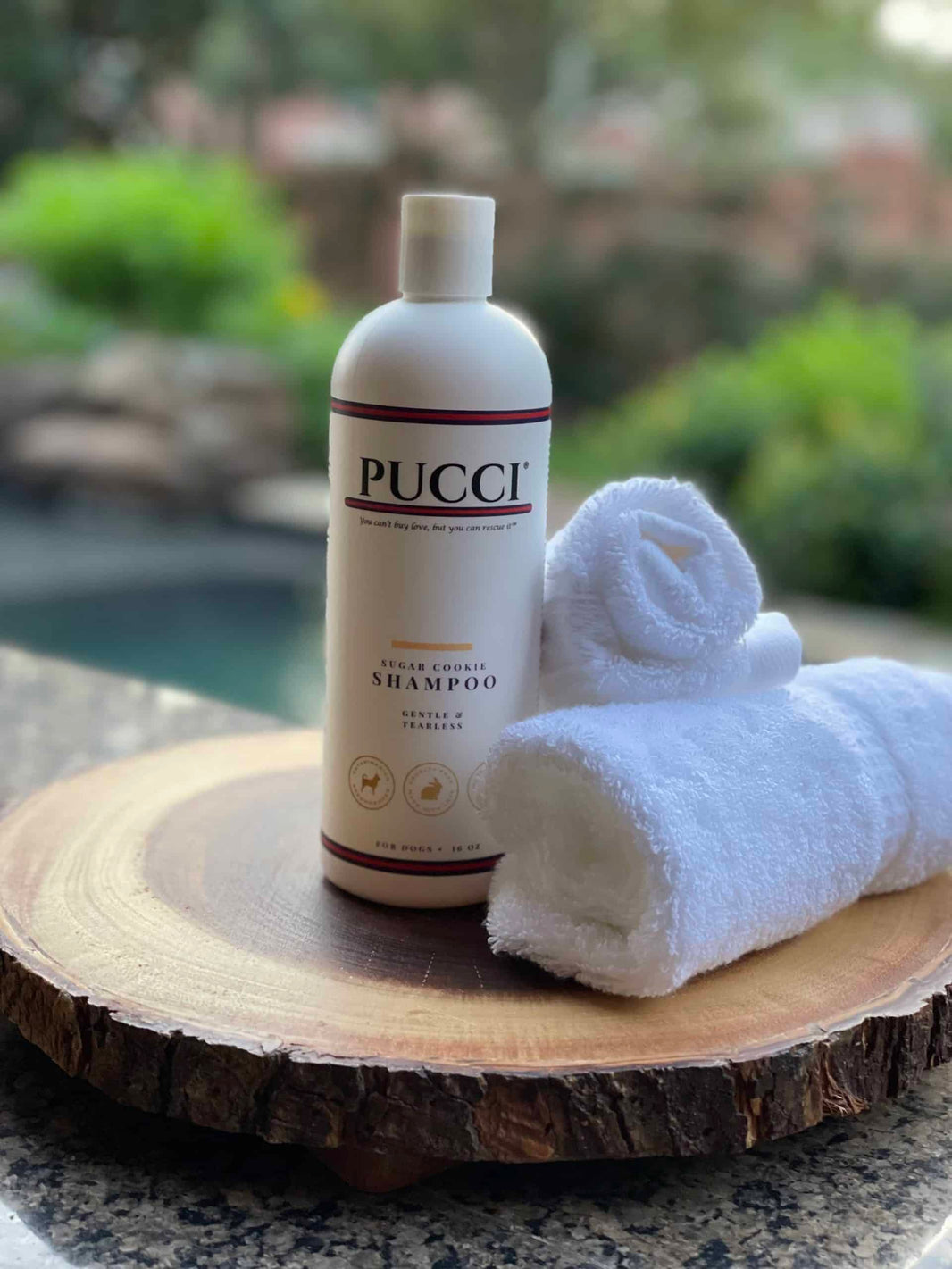 PUCCI Sugar Cookie Shampoo for Dogs image 0