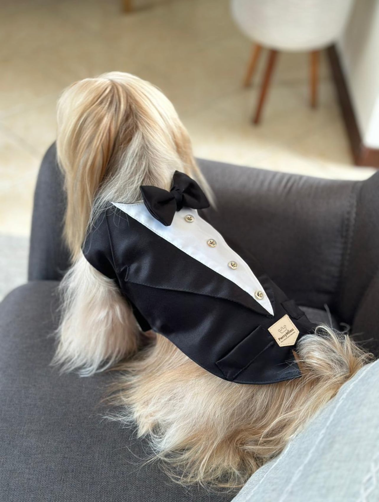 PerryMiau Dog Tuxedo image 0