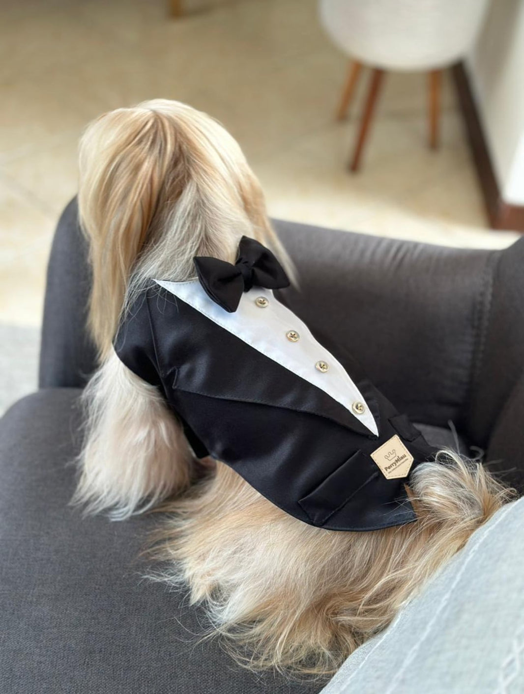 PerryMiau Dog Tuxedo image 0