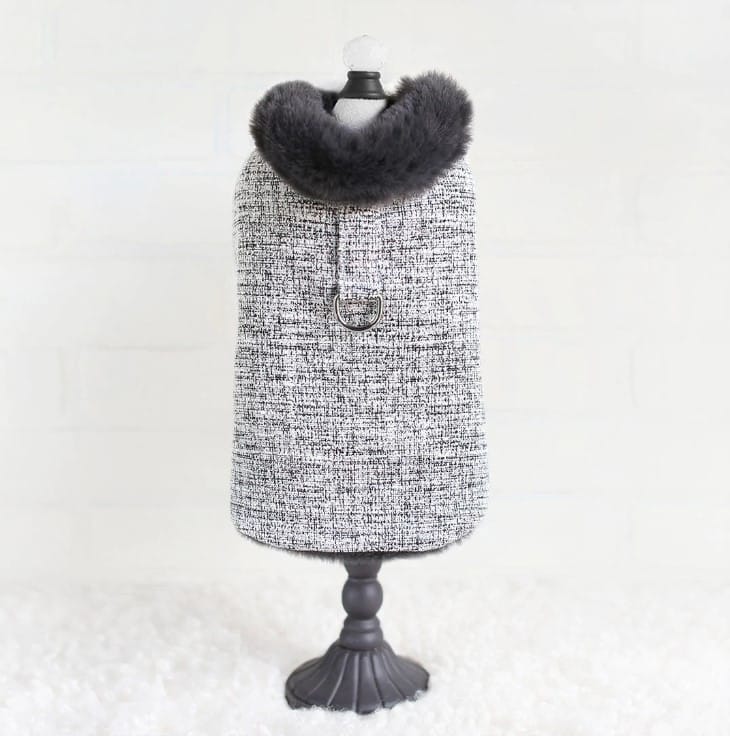 Zha Zha Dog Coat - Alloy image 0