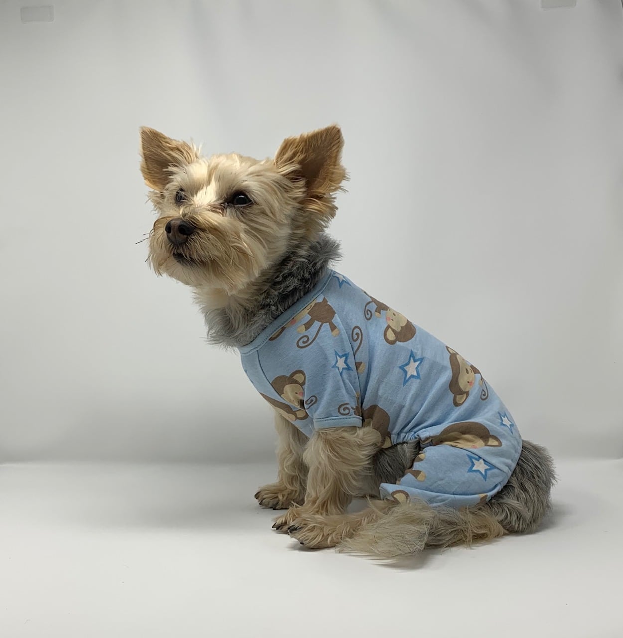 Monkey Dog Pajamas image 0