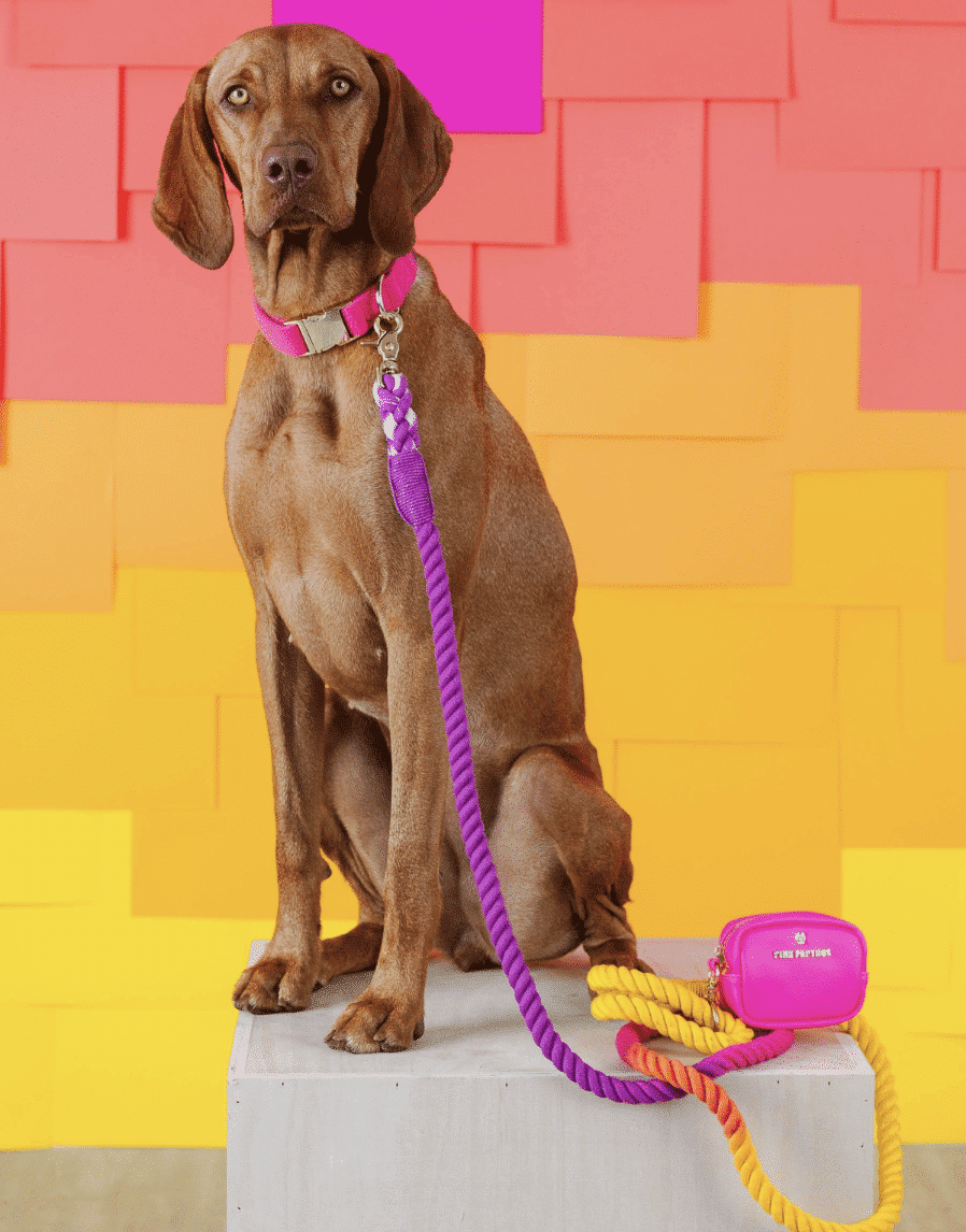 Roxy Rope Dog Leash image 0