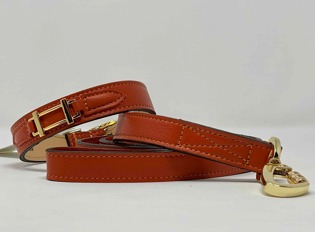 Hamilton Dog Collar in Arancione and Gold image 1