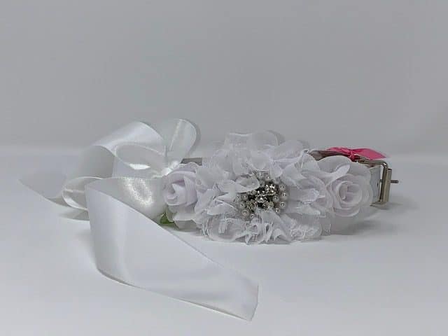 White Dog Collar with Rhinestones/Pearls on White Flowers image 0