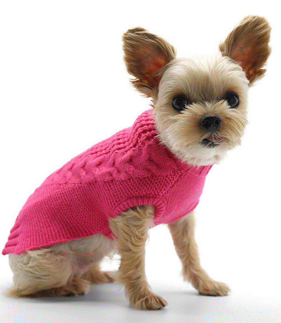 Mix Knit Pink Dog Sweater image 0