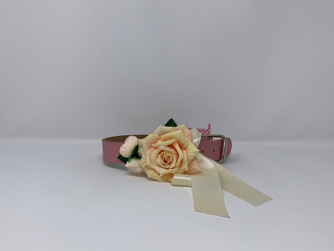 Pink Collar / Cream Rose Dog Collar image 0