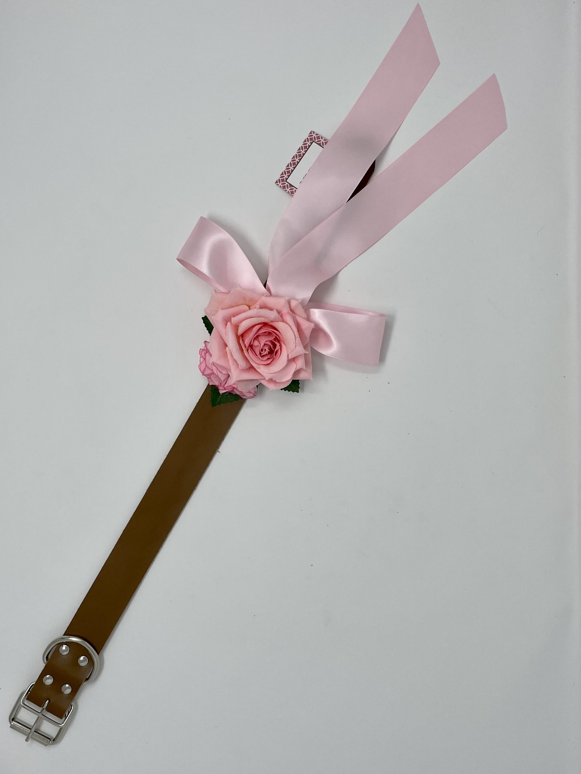 Tan Collar / Light Pink Rose Dog Collar image 1