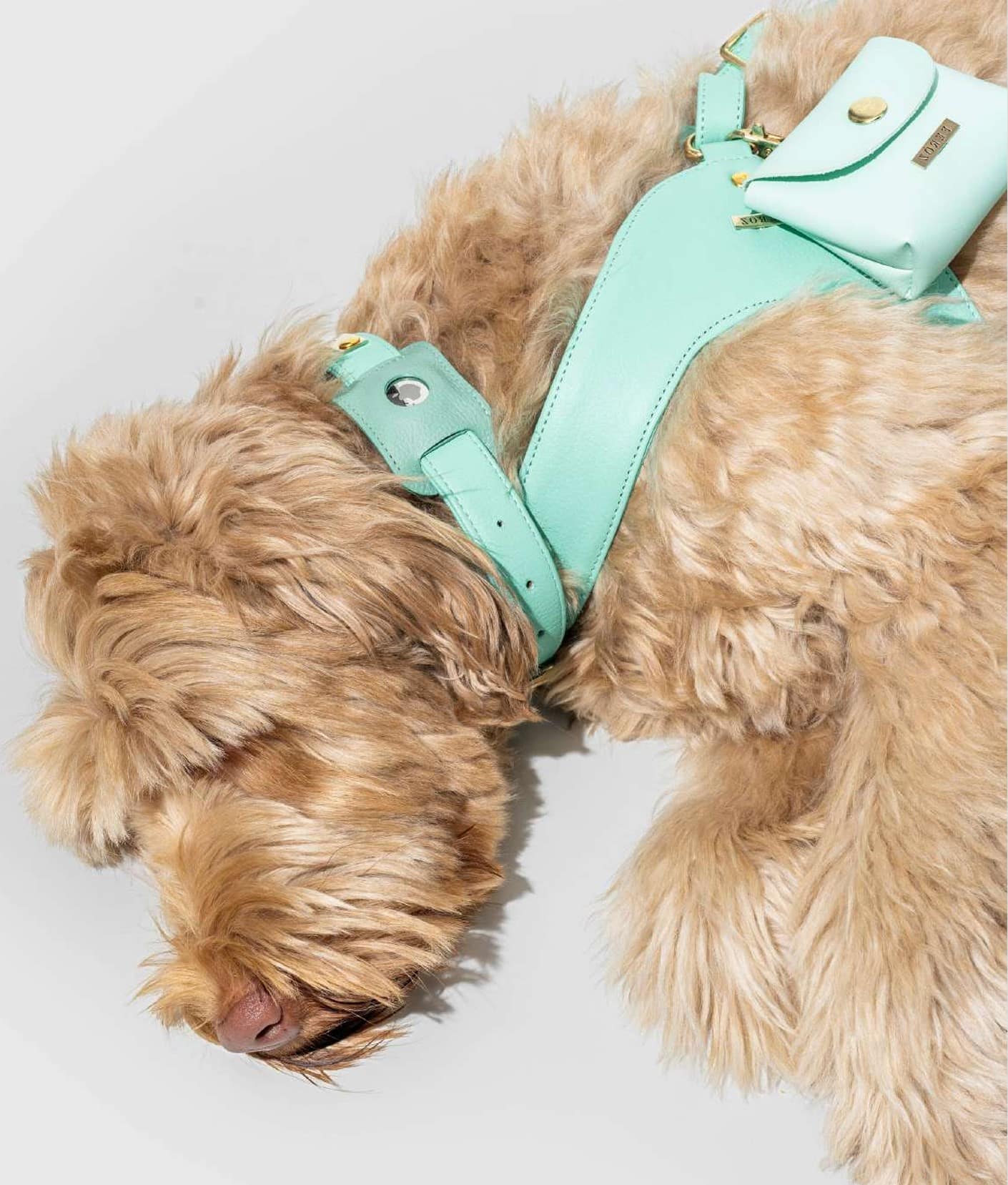 AirTag Holder for Dog Collars image 0