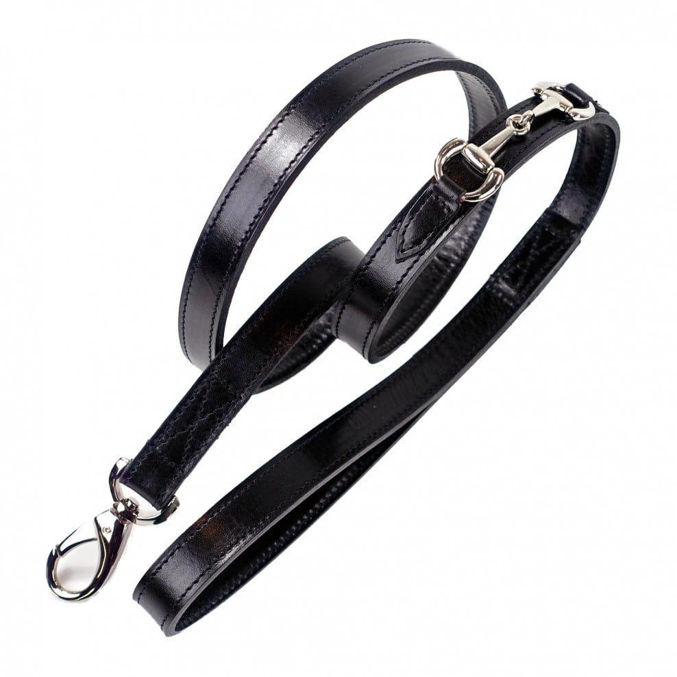 Belmont with Icon Dog Leash in Jet Black & Nickel image 0