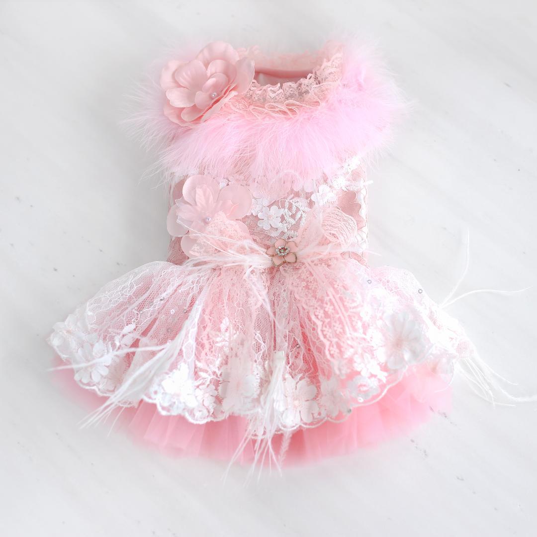 Aurora Dog Party Dress image 0