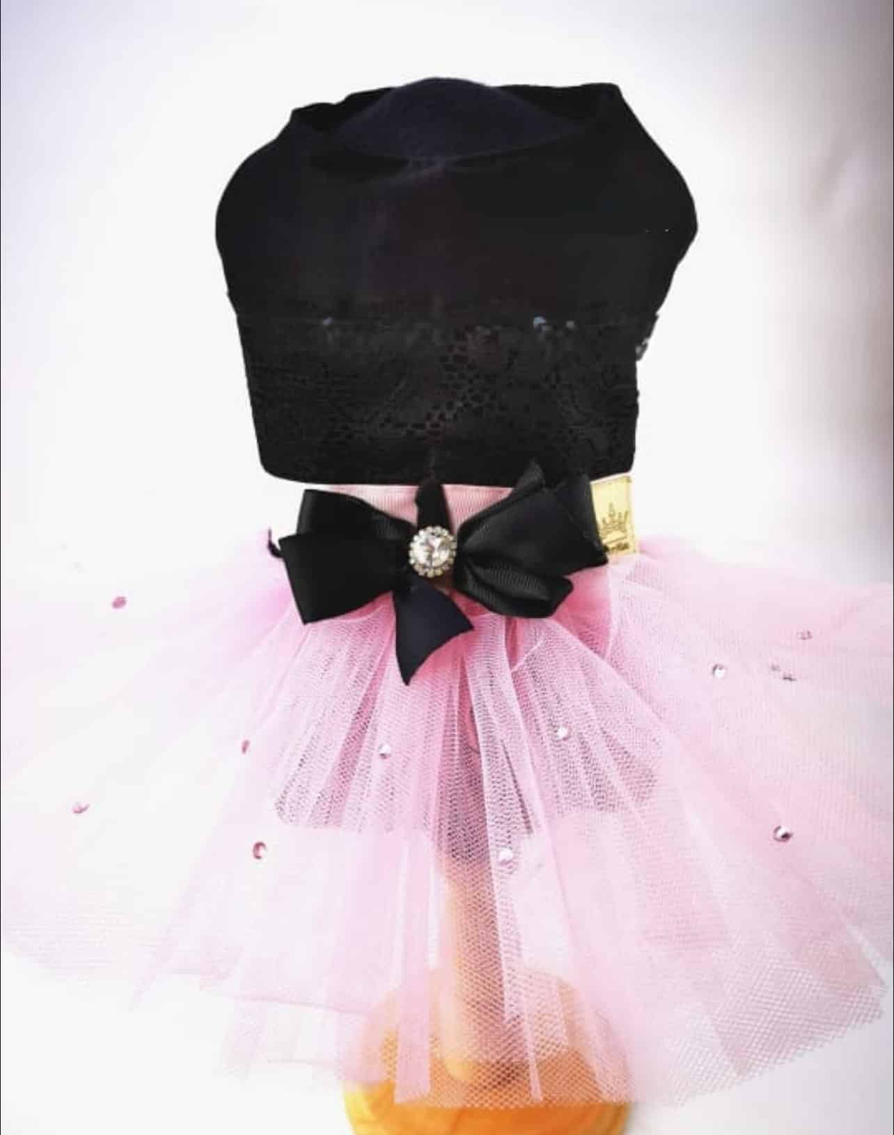 Bailarina Dog Dress Pink and Black with Black Lace image 0