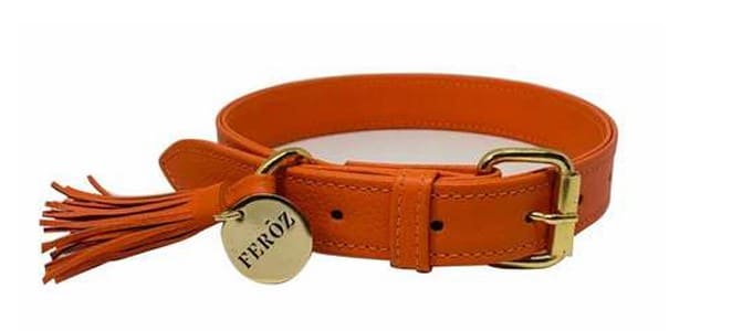Feroz Leather Dog Collar - Coral Collection image 1