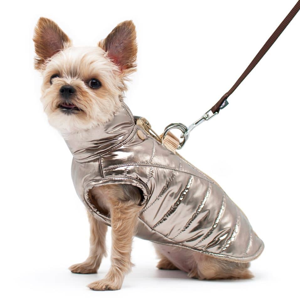 Metallic Runner Dog Coat image 1