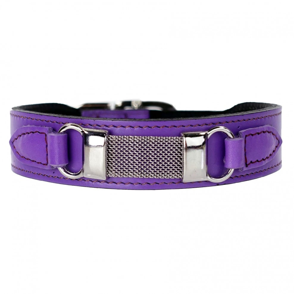Barclay Dog Collar in Lavender image 0