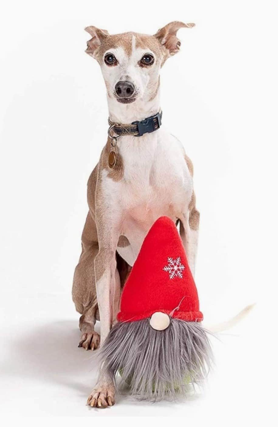 Christmas Gnome Hidden Ball Plush Dog Toy image 0