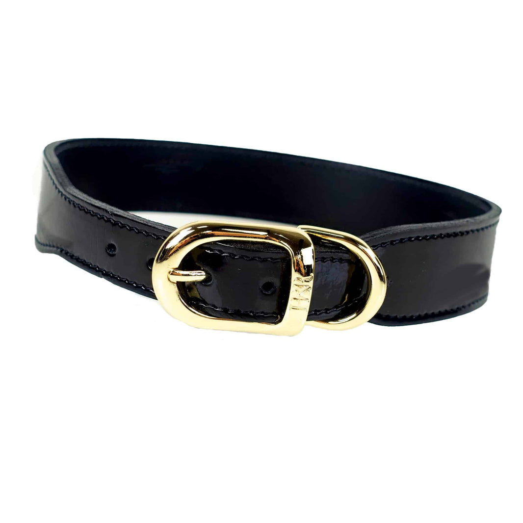 Haute Couture Art Deco Dog Collar in Black Patent & Gold image 1