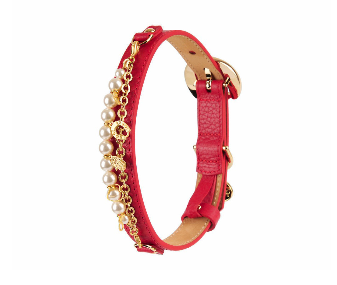 Dog Collars Designer Dog Collars Luxury Dog Collars