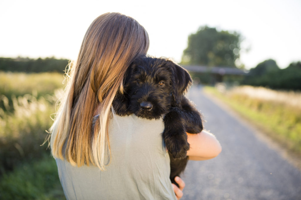 Tips for Fostering an Animal