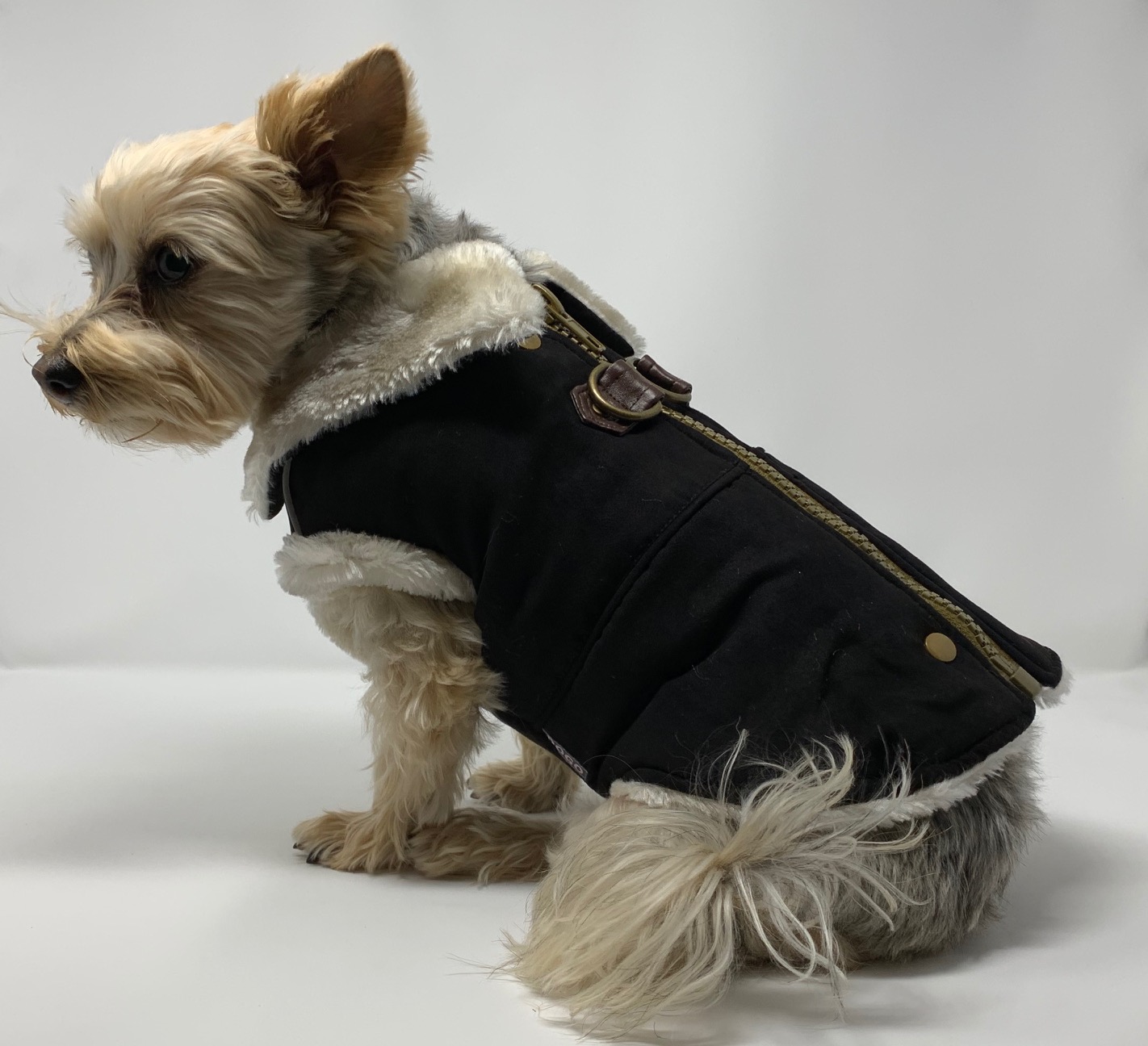 Furry Runner Dog Coat - Black