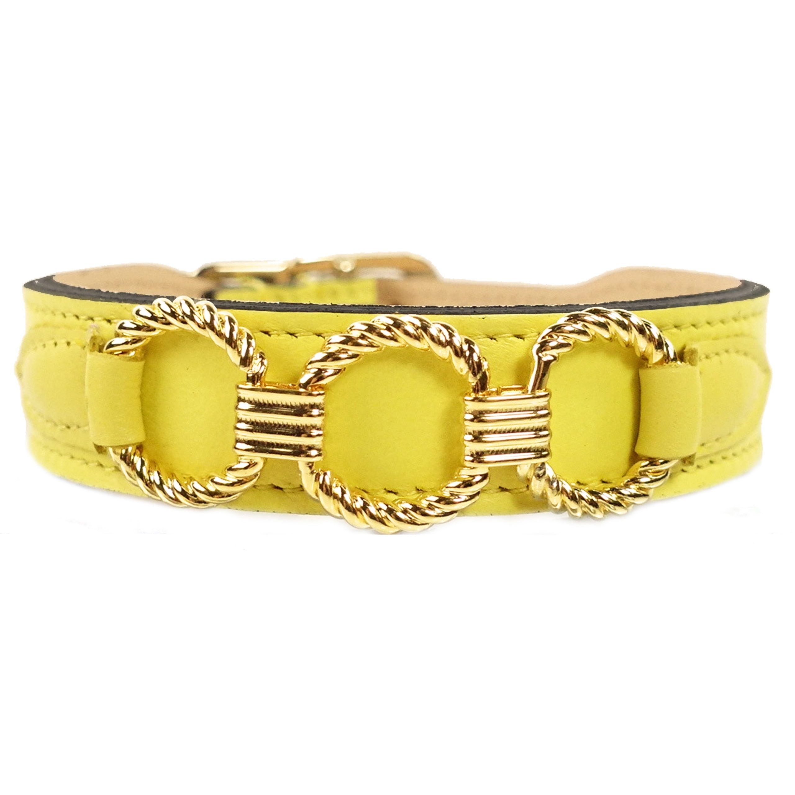 Athena in Canary Yellow & Gold Dog Collar