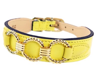 Athena Dog Collar in Canary Yellow & Gold