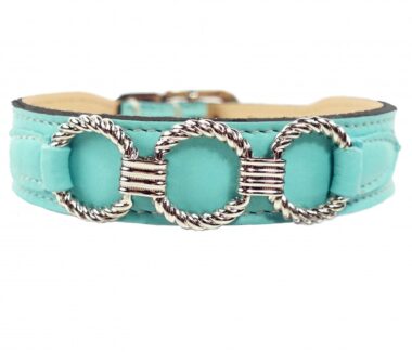 Athena Dog Collar in Turquoise & Nickel