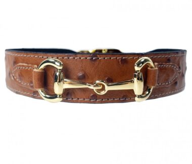 Belmont Dog Collar in Ostrich & Gold