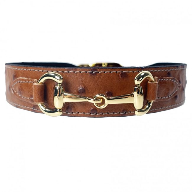 Belmont Dog Collars - PUCCI Cafe