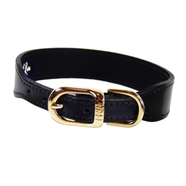 Belmont Dog Collar in Jet Black & Gold