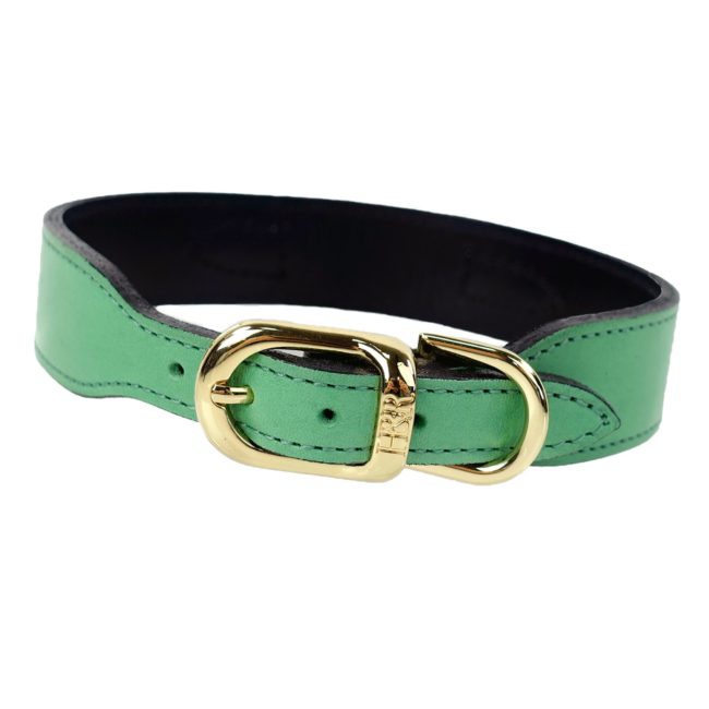 Belmont Dog Collar in Kelly Green & Gold
