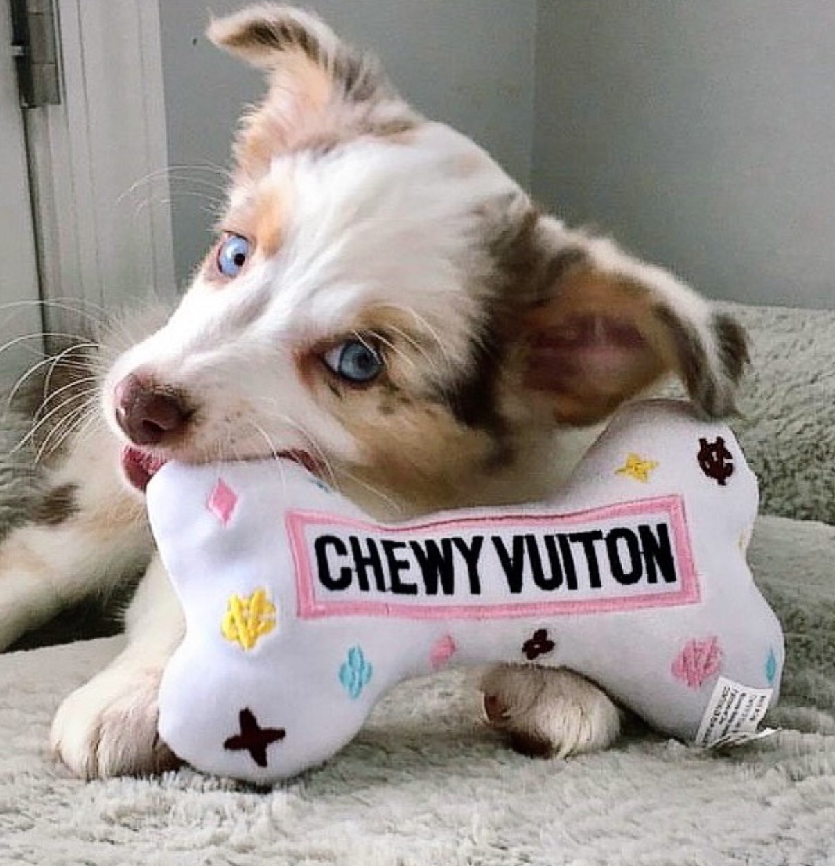 PUCCI Cafe White Chewy Vuiton Bone Dog Toy