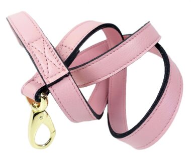 Athena Dog Leash - PUCCI Cafe