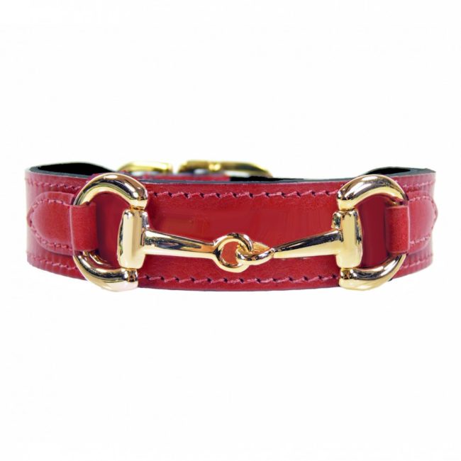 gucci dog collar red and green