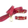 Belmont Dog Collar in Ferrari Red & Gold - PUCCI Cafe Dog Collars