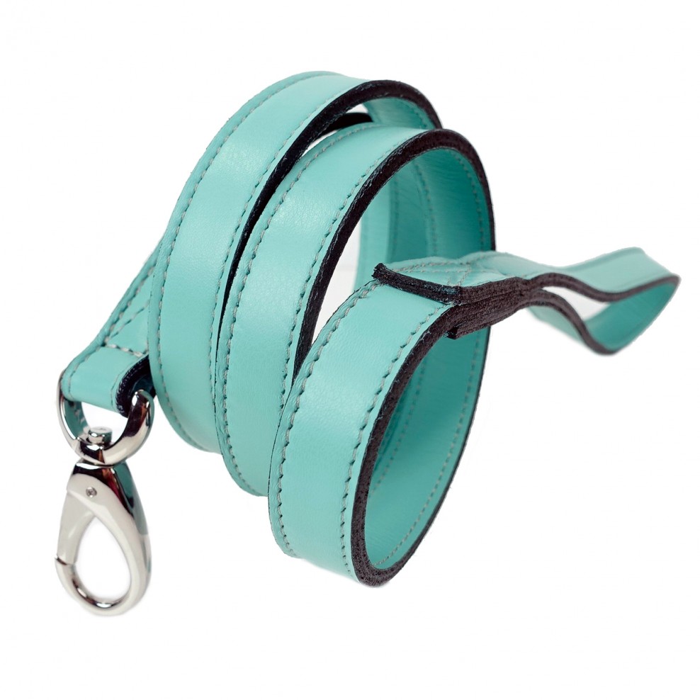 Daisy Hamilton Athena Dog Leash in Turquoise & Nickel PUCCI Café
