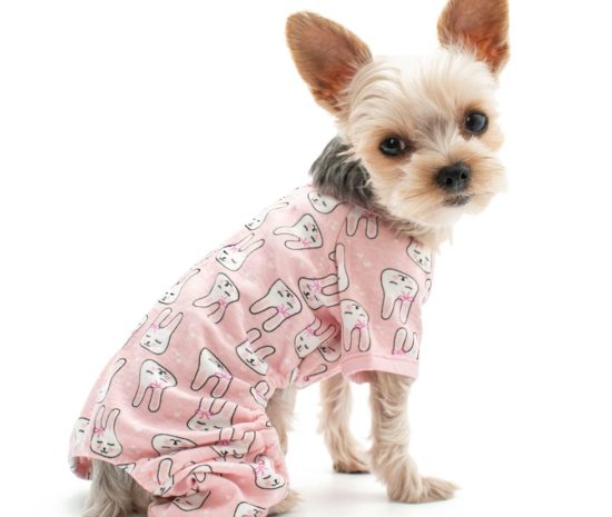 Bunnies Dog Pajamas PUCCI Cafe