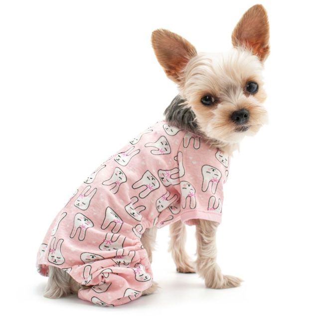Bunnies Dog Pajamas PUCCI Cafe