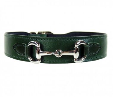 Belmont Dog Collar in Ivy Green & Nickel