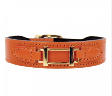 Hamilton Dog Collar in Tangerine & Gold