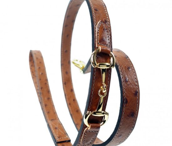 PUCCI Cafe Belmont with Icon Dog Collar in Ostrich & Gold