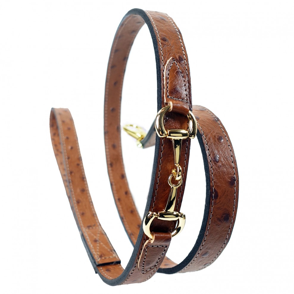 PUCCI Cafe Belmont with Icon Dog Collar in Ostrich & Gold