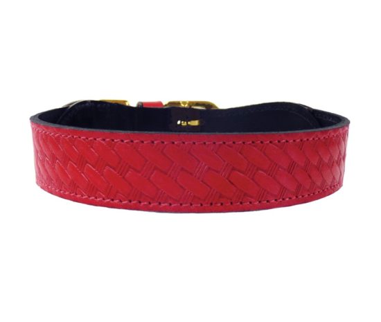 PUCCI Cafe Classic Collar in Cherry Red