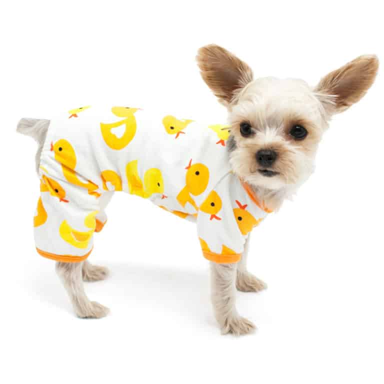 Duck Dog Pajamas PUCCI Café